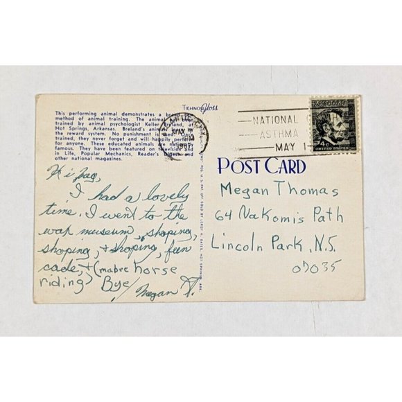 Advertising Postcard Hot Springs Arkansas AR‎ Zoo The Drumming Duck 1960s Paper - Picture 2 of 7